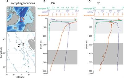 Swimming Activity as an Indicator of Seasonal Diapause in the Copepod Calanus finmarchicus